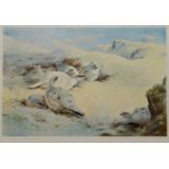 'Ptarmigan', artists proof colour print after Archibald Thorburn (1860 - 1935) signed in pencil pub.