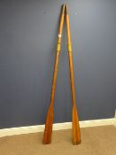 Pair of wooden oars,