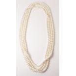 Long freshwater pearl necklace approx 240cm Condition Report <a href='//www.