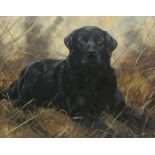 John Trickett (British 1952-): Black Labrador in Landscape,