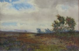 Richard Edward Clarke (British 1878-1954): North Yorkshire Grouse Moor,