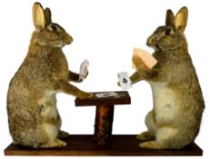 Taxidermy - Card playing Rabbits, on rustic base,