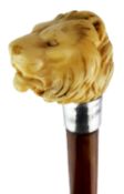 Malacca walking cane, ivory handle carved as a lion's head, silver collar dated London 1897,