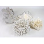 Three pieces of coral specimens and clam shell (4) Condition Report <a