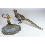 Cold painted bronze Pheasant,