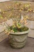 Large stone effect classical style garden planter decorated with swags and shells,
