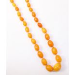 Graduating amber bead necklace approx 33g Condition Report Approx 58cm length