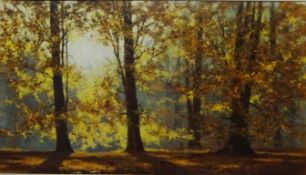 Autumnal Woodland, 20th century colour print after David Shepherd (British 1931 - 2017), 44.