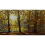 Autumnal Woodland, 20th century colour print after David Shepherd (British 1931 - 2017), 44.