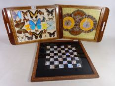 Early 20th Century butterfly display tray,