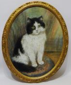 Portrait of a Kitten, oval pastel by Maud D. Heaps (fl.1900-1920) signed with initials M.D.H 49.