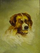 Head Portrait of a St Bernard, early 20th century oil on wood panel unsigned 18.