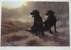 Pair of Labrador's, limited edition colour print no.