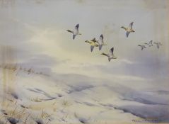 Mallards in Flight, watercolour signed by Cecil Thomas Hodgkinson (British 1895-1979), 37.5cm x 51.