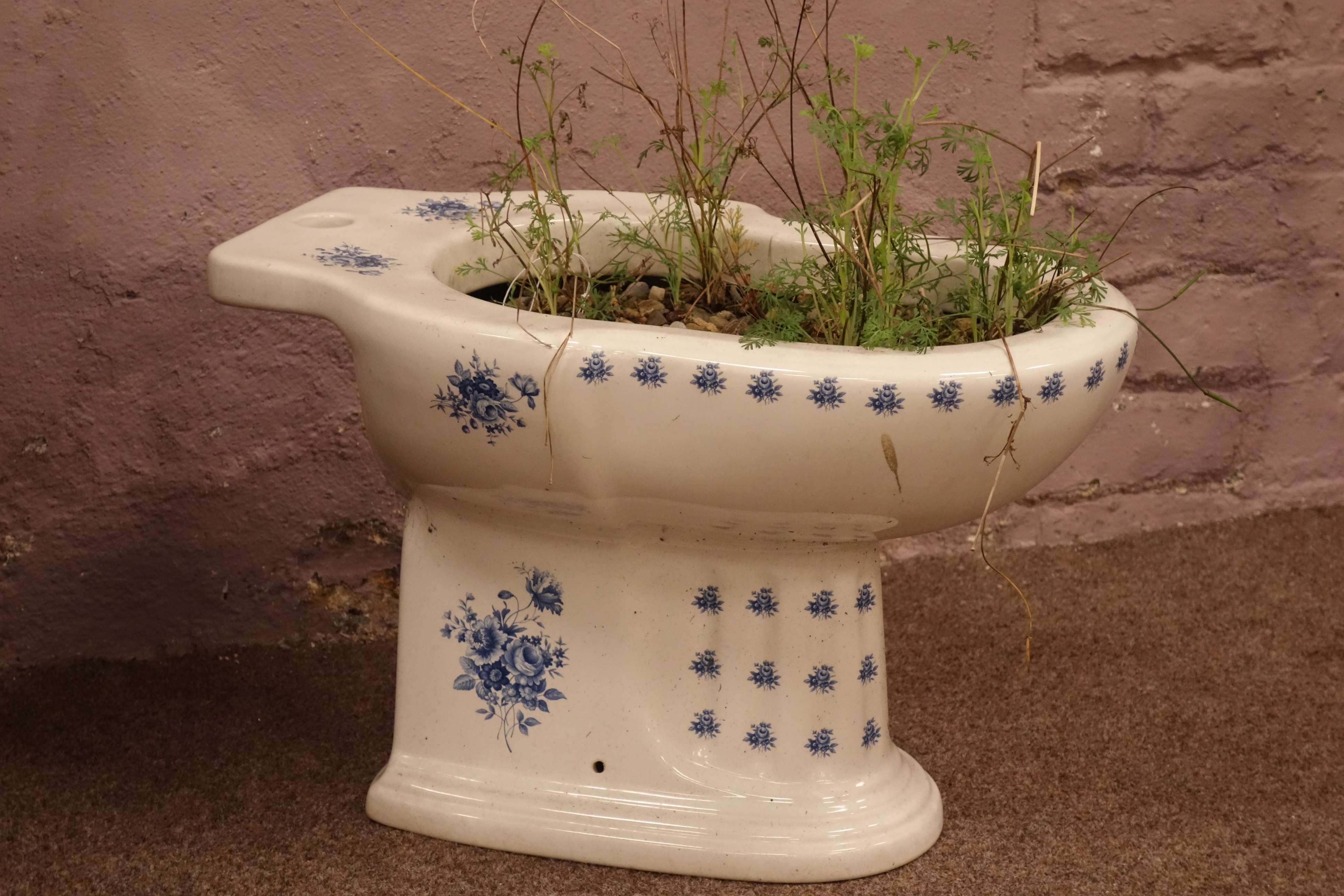 Victorian style blue and white decorated toilet basin planted with shrubs