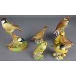 Five Royal Worcester porcelain bird models; Linnets, Coal Tits, Marsh Tits, Wood Warbler,