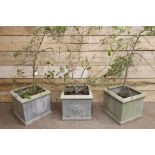 Set three composite stone square planters with decorative flower head motifs,