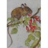 Kate Wyatt (British Contemporary): Woodmouse and Berries, watercolour signed 19cm x 13.