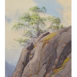 WILLIAM HEATON COOPER Rocks and Rowan in Spring Watercolour Signed 32 x 28cm