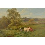 CHARLES COLLINS Cattle and ploughing in a landscape Oil on canvas Signed and dated 1895 40 x 60cm