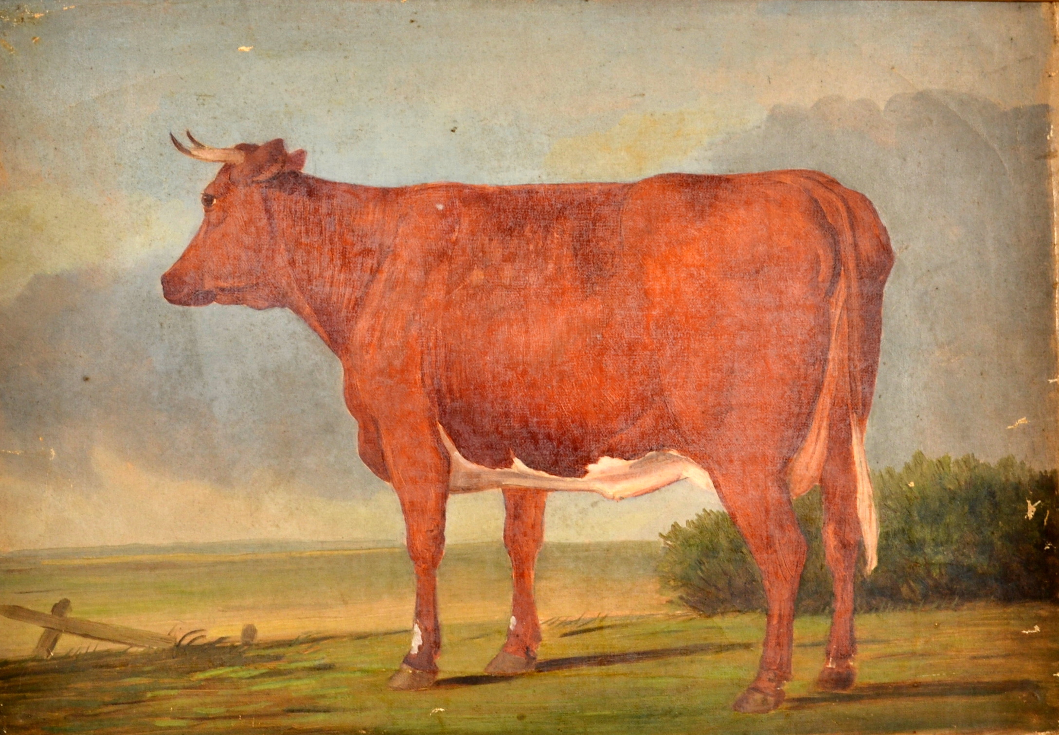 Cow in a Landscape Late 19th century oil on canvas 32 x 47cm