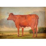 Cow in a Landscape Late 19th century oil on canvas 32 x 47cm
