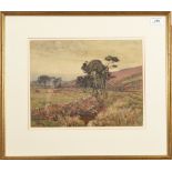 SAMUEL JOHN LAMORNA BIRCH Landscape with cattle Watercolour Signed and dated 1905 26 x 34cm