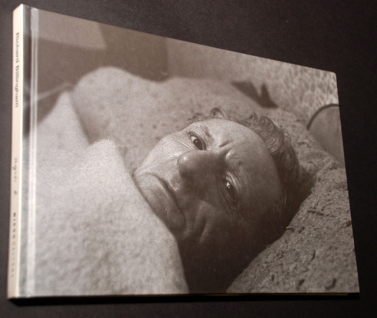 RICHARD BILLINGHAM Ikon Gallery Catalogue book 2000 - Image 2 of 2