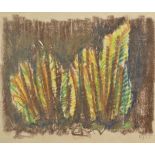 NANCY WYNNE JONES Ferns Crayon Initialled and dated '67 16.