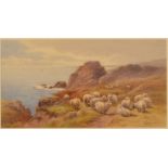 TOM ROWDEN Cliff Top Sheep Watercolour Signed 20 x 38cm