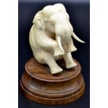 An ivory seated elephant, height 11cm, including hardwood socle.
