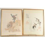 Eight watercolour paintings from an album, depicting garden scenes of flowers and shrubs,