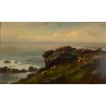 GEORGE HENRY JENKINS Sheep on the cliffs near Lands End Oil on canvas Signed 35 x 60cm