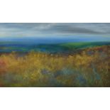 AMANDA HOSKIN Cornish Moorland Oil on board Signed Titled and dated on the back 2002 40 x 68cm