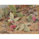 HELEN CORDELIA ANGEL COLEMAN Raspberries Watercolour Signed Title label on the back 12 x 16cm