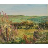 MICHAEL SMITH Cornish Countryside Oil on canvas Signed Gallery certificate 25 x 30cm plus 2 other