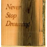 Artist: Kelsi Chamberlain (Helston Community College) Title: Never Stop Dreaming Size: 25