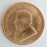 A Krugerrand dated 1981, uncirculated.