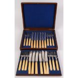 A set of twelve EPNS engraved fish knives and forks with ivory handles in a burr walnut canteen.