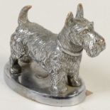 A Desmo chromium plated Scottish Terrier dog car mascot, length 10cm.