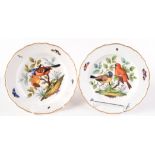 A pair of 19th century Meissen outside decorated plates, each painted with a pair of birds,