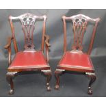 A set of six Chippendale style, mahogany dining chairs with ball and claw feet.