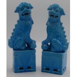 A pair of Chinese turquoise porcelain dogs of fo, each seated on a plinth base, height 25cm.