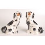 A pair of Staffordshire black and white spaniels, height 28.5cm.