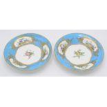 A pair of Sevres porcelain dishes, 18th century,