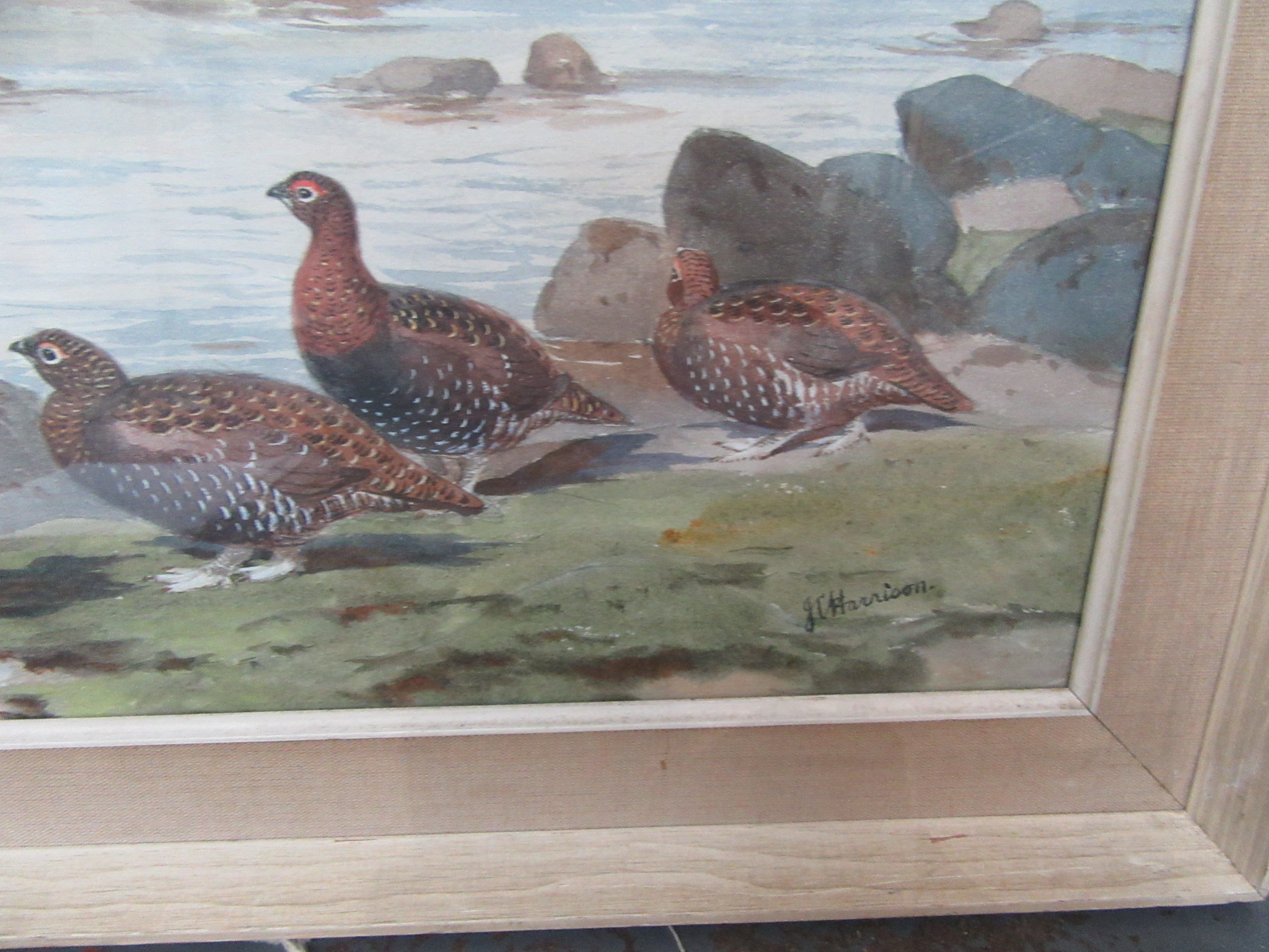 JOHN CYRIL HARRISON The Burn Grouse and Roe deer Watercolour Signed Gallery label on the back 55 x - Image 10 of 10