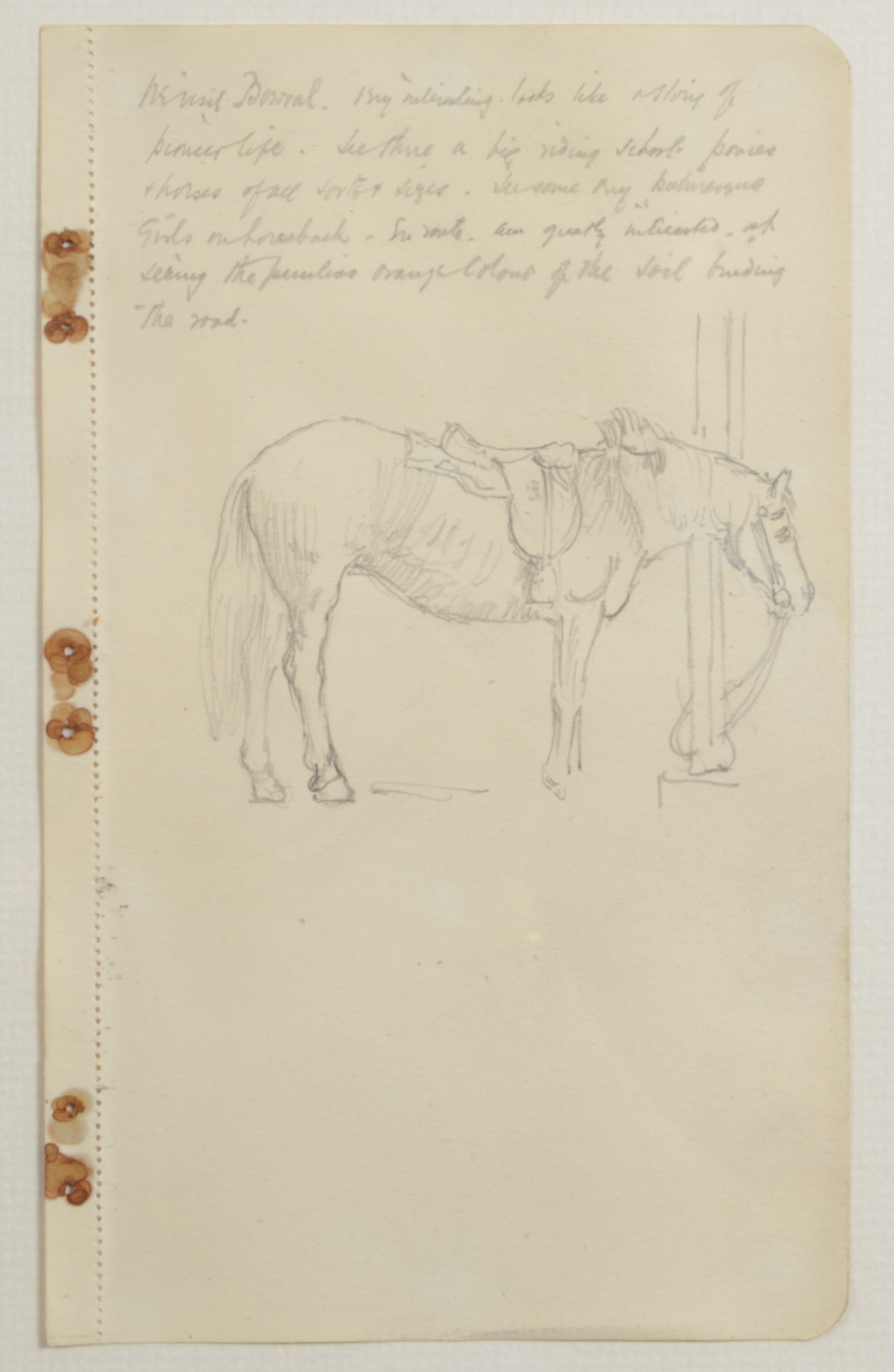 SAMUEL JOHN LAMORNA BIRCH Study of a pony Pencil drawing A page from a notebook Inscribed 20 x