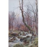 WILLIAM SNELL MORRIS A Wooded Stream on The Edge of Dartmoor Watercolour Signed 44 x 28 cm