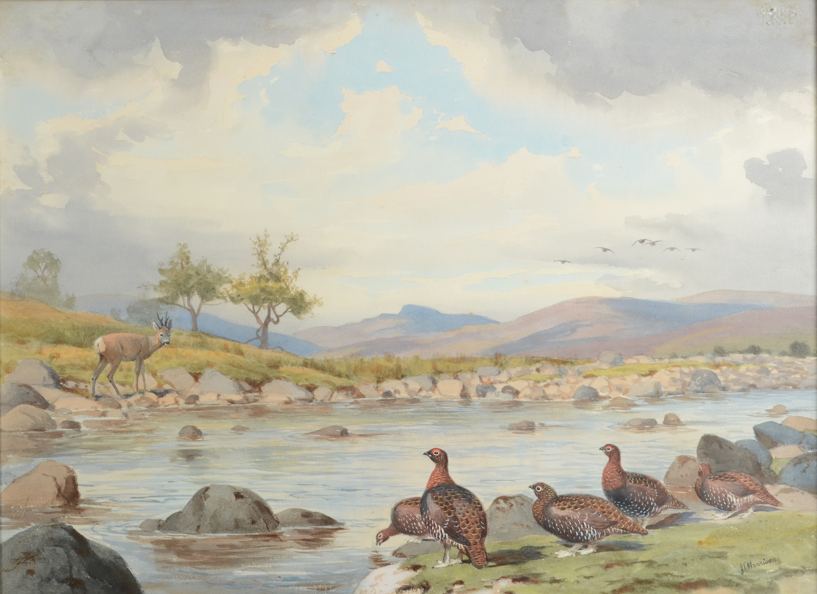 JOHN CYRIL HARRISON The Burn Grouse and Roe deer Watercolour Signed Gallery label on the back 55 x