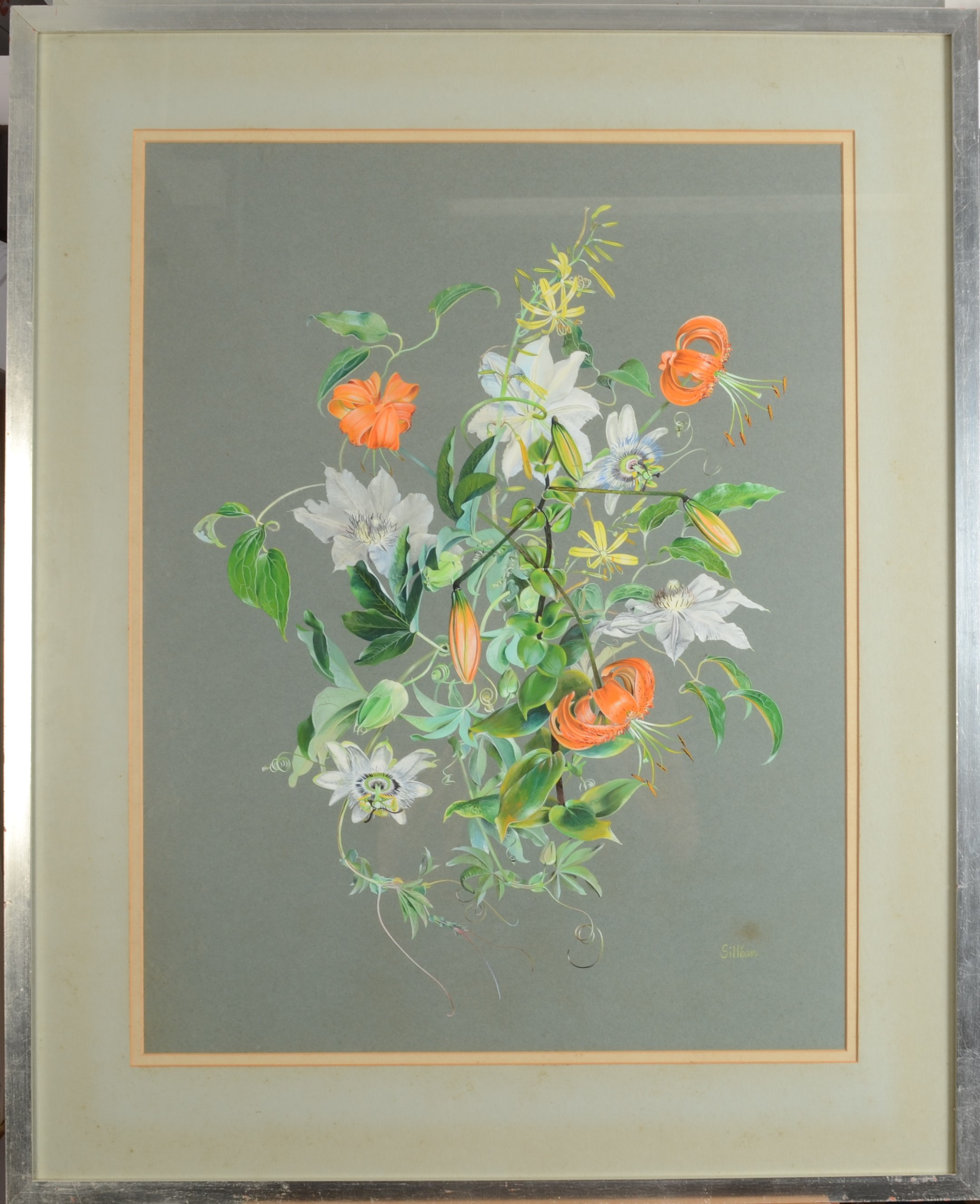 GILLEAN WHITAKER Botanical Studies - a pair Watercolour Signed 63 x 45 cm - Image 5 of 5